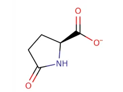 Oleanolic Acid & Apigenin